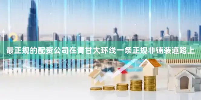 最正规的配资公司在青甘大环线一条正规非铺装道路上