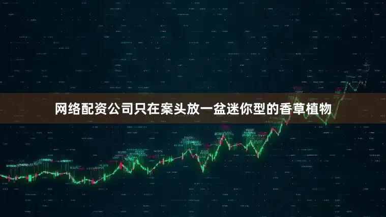 网络配资公司只在案头放一盆迷你型的香草植物